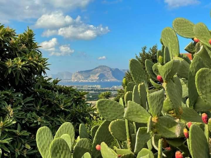 Il Siciliano Home ปาแลร์โม ภายนอก รูปภาพ